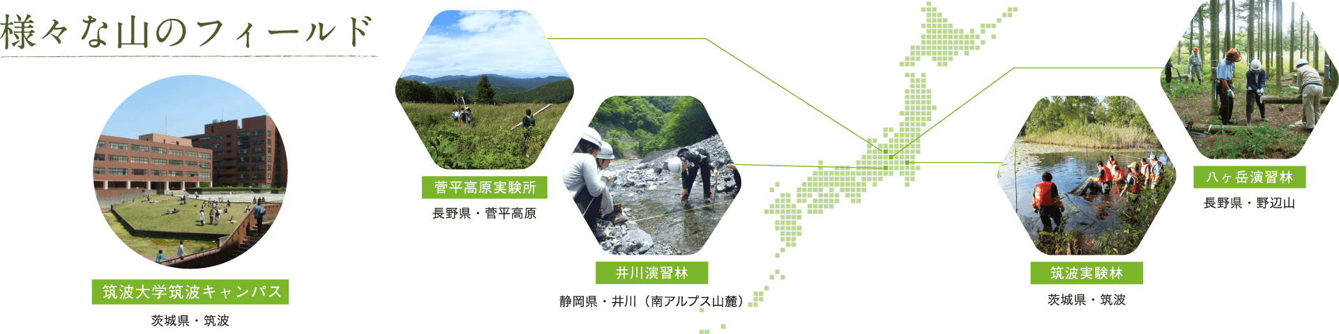 様々な山のフィールド