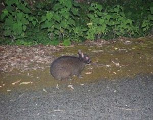 8月24日 津田准教授らの研究がプレスリリースされました