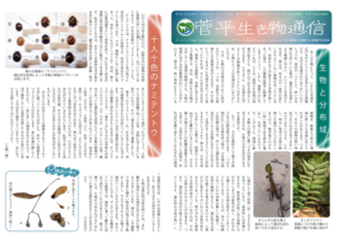 菅平生き物通信