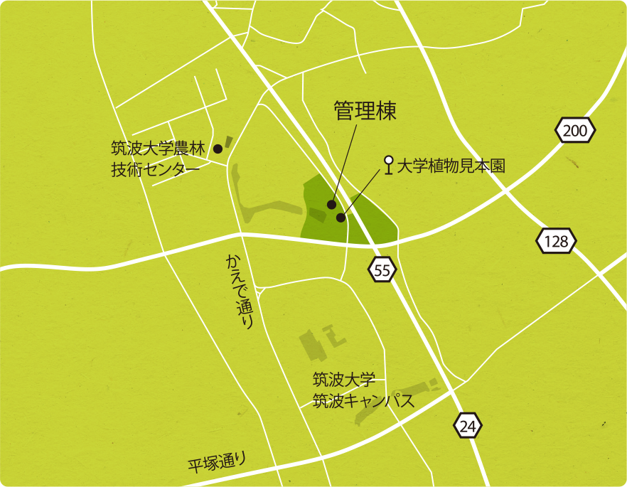 筑波大学山岳科学センター筑波実験林