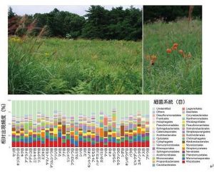 2月20日 田中准教授が参加する研究チームがプレスリリース。草原生態系は微生物資源の「銀 行」