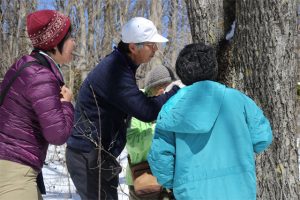 4月13日「菅平ナチュラリストの会」定例会の様子
