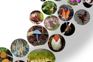 筑波大学学生主催イベント「なんでも生物質問所」のお知らせ